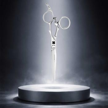 Preview: Pinin Q5 Roxy 6.0